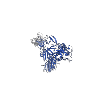 24190_7n5h_B_v1-1
Cryo-EM structure of broadly neutralizing antibody 2-36 in complex with prefusion SARS-CoV-2 spike glycoprotein