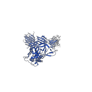 24190_7n5h_C_v1-1
Cryo-EM structure of broadly neutralizing antibody 2-36 in complex with prefusion SARS-CoV-2 spike glycoprotein