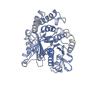3589_5n5n_A_v1-3
Cryo-EM structure of tsA201 cell alpha1B and betaI and betaIVb microtubules