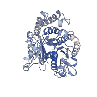 3589_5n5n_B_v1-3
Cryo-EM structure of tsA201 cell alpha1B and betaI and betaIVb microtubules