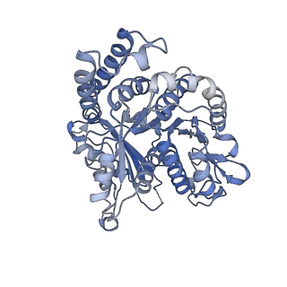 3589_5n5n_C_v1-3
Cryo-EM structure of tsA201 cell alpha1B and betaI and betaIVb microtubules