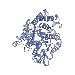 3589_5n5n_E_v1-3
Cryo-EM structure of tsA201 cell alpha1B and betaI and betaIVb microtubules