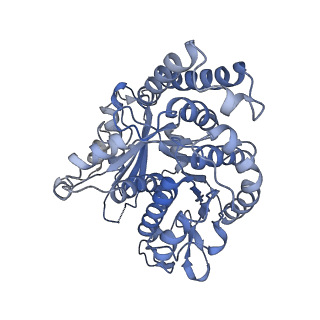 3589_5n5n_F_v1-3
Cryo-EM structure of tsA201 cell alpha1B and betaI and betaIVb microtubules