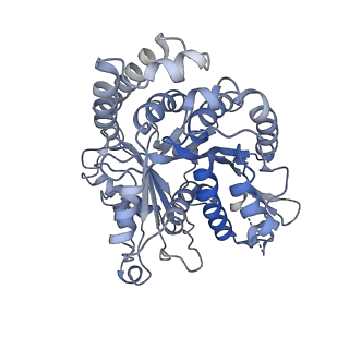 3589_5n5n_H_v1-3
Cryo-EM structure of tsA201 cell alpha1B and betaI and betaIVb microtubules