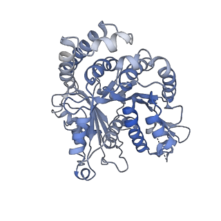 3589_5n5n_I_v1-3
Cryo-EM structure of tsA201 cell alpha1B and betaI and betaIVb microtubules