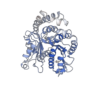 3589_5n5n_K_v1-3
Cryo-EM structure of tsA201 cell alpha1B and betaI and betaIVb microtubules