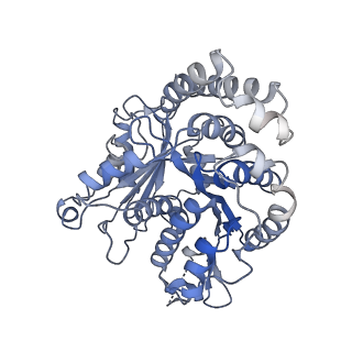 3589_5n5n_L_v1-3
Cryo-EM structure of tsA201 cell alpha1B and betaI and betaIVb microtubules