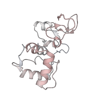 23726_7n6i_B_v1-1
ATP-bound TnsC-TniQ complex from ShCAST system