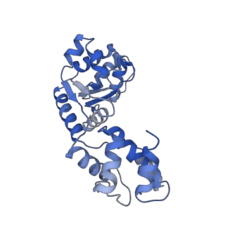 23726_7n6i_G_v1-1
ATP-bound TnsC-TniQ complex from ShCAST system