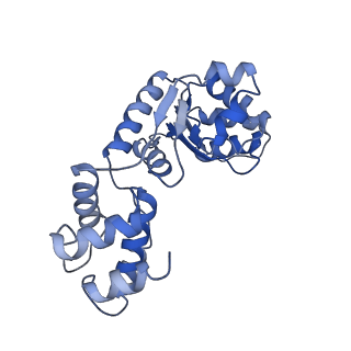 23726_7n6i_H_v1-1
ATP-bound TnsC-TniQ complex from ShCAST system