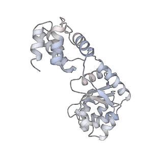 23726_7n6i_J_v1-1
ATP-bound TnsC-TniQ complex from ShCAST system