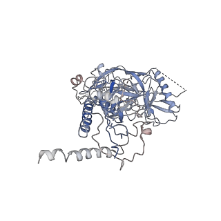 23860_7n6u_A_v1-2
Structure of uncleaved HIV-1 JR-FL Env glycoprotein trimer in state U1 bound to small Molecule HIV-1 Entry Inhibitor BMS-378806