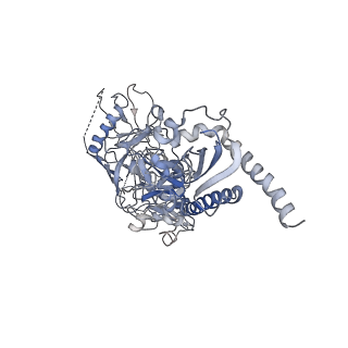 23860_7n6u_B_v1-2
Structure of uncleaved HIV-1 JR-FL Env glycoprotein trimer in state U1 bound to small Molecule HIV-1 Entry Inhibitor BMS-378806