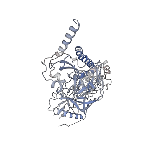 23860_7n6u_C_v1-2
Structure of uncleaved HIV-1 JR-FL Env glycoprotein trimer in state U1 bound to small Molecule HIV-1 Entry Inhibitor BMS-378806