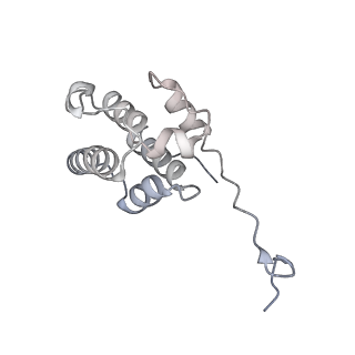 24191_7n61_0E_v1-1
structure of C2 projections and MIPs