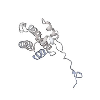 24191_7n61_0F_v1-1
structure of C2 projections and MIPs