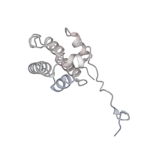 24191_7n61_0H_v1-1
structure of C2 projections and MIPs