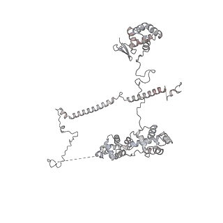 24191_7n61_0M_v1-1
structure of C2 projections and MIPs