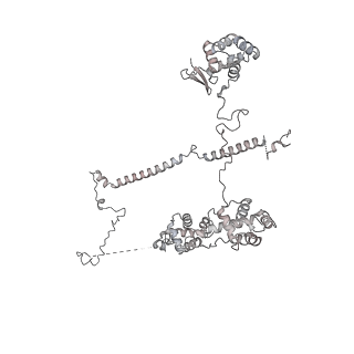 24191_7n61_0N_v1-1
structure of C2 projections and MIPs