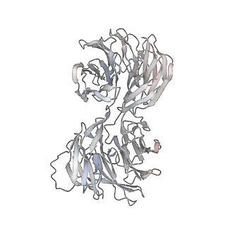 24191_7n61_0Q_v1-1
structure of C2 projections and MIPs