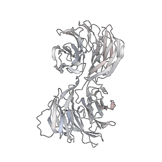24191_7n61_0S_v1-1
structure of C2 projections and MIPs