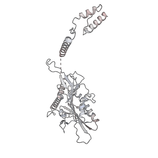 24191_7n61_0Y_v1-1
structure of C2 projections and MIPs