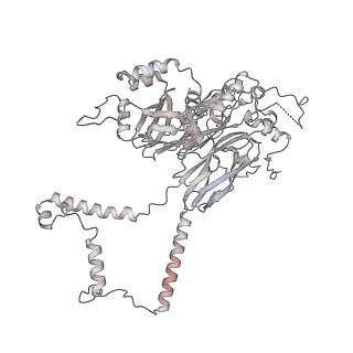 24191_7n61_1B_v1-1
structure of C2 projections and MIPs