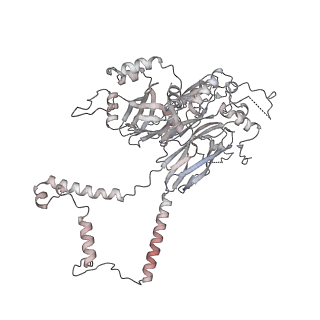 24191_7n61_1C_v1-1
structure of C2 projections and MIPs