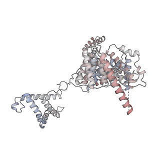 24191_7n61_1D_v1-1
structure of C2 projections and MIPs