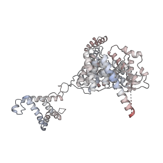 24191_7n61_1E_v1-1
structure of C2 projections and MIPs