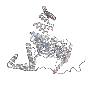 24191_7n61_1F_v1-1
structure of C2 projections and MIPs