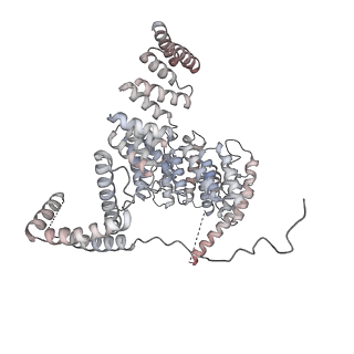 24191_7n61_1G_v1-1
structure of C2 projections and MIPs
