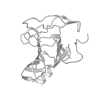 24191_7n61_1L_v1-1
structure of C2 projections and MIPs