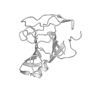 24191_7n61_1M_v1-1
structure of C2 projections and MIPs