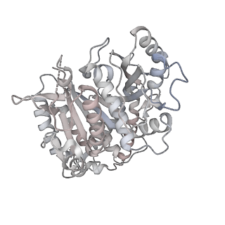 24191_7n61_1b_v1-1
structure of C2 projections and MIPs