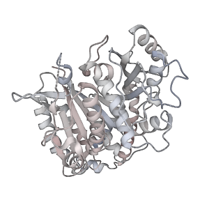 24191_7n61_1d_v1-1
structure of C2 projections and MIPs