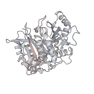 24191_7n61_1h_v1-1
structure of C2 projections and MIPs
