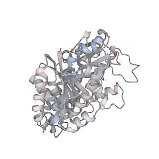 24191_7n61_2a_v1-1
structure of C2 projections and MIPs