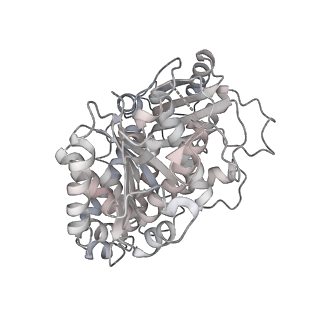 24191_7n61_2b_v1-1
structure of C2 projections and MIPs