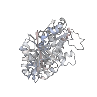 24191_7n61_2c_v1-1
structure of C2 projections and MIPs