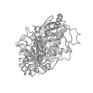 24191_7n61_2d_v1-1
structure of C2 projections and MIPs