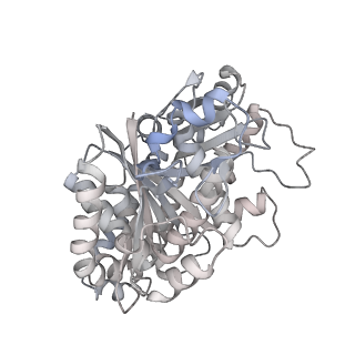 24191_7n61_2e_v1-1
structure of C2 projections and MIPs