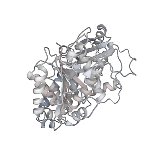 24191_7n61_2h_v1-1
structure of C2 projections and MIPs