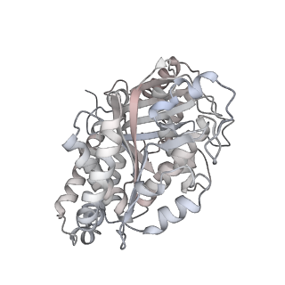 24191_7n61_3a_v1-1
structure of C2 projections and MIPs