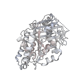 24191_7n61_3d_v1-1
structure of C2 projections and MIPs