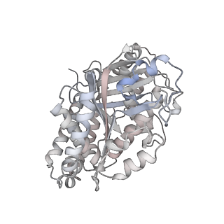 24191_7n61_3e_v1-1
structure of C2 projections and MIPs