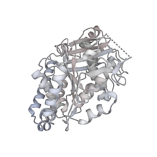 24191_7n61_3f_v1-1
structure of C2 projections and MIPs