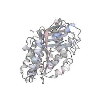 24191_7n61_3g_v1-1
structure of C2 projections and MIPs