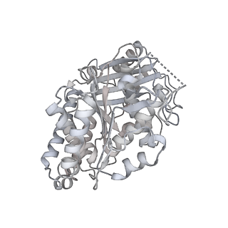 24191_7n61_3h_v1-1
structure of C2 projections and MIPs