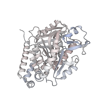 24191_7n61_4a_v1-1
structure of C2 projections and MIPs